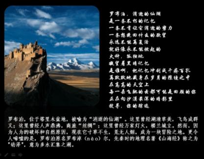 逗小猴开心系列208