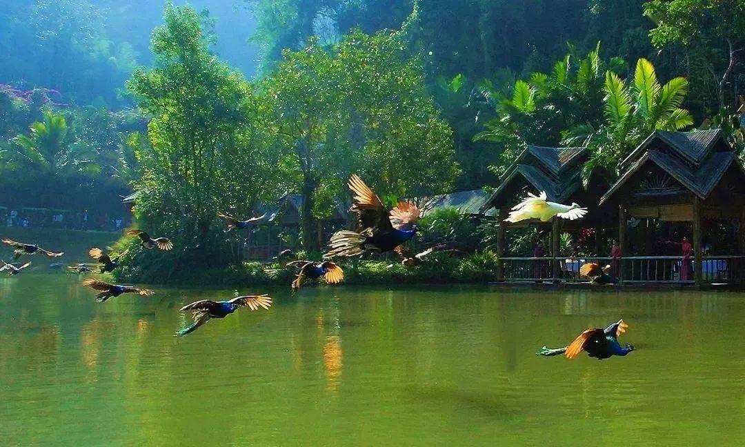 调兵遣将飞机打击