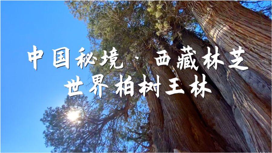 娱乐圈女星形象风波:吴昕“柳叶腰”与欧阳娜娜猫咪纹引发热议