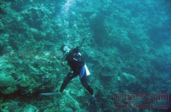 走进“黄河大集”睦和苑社区宣传垃圾分类