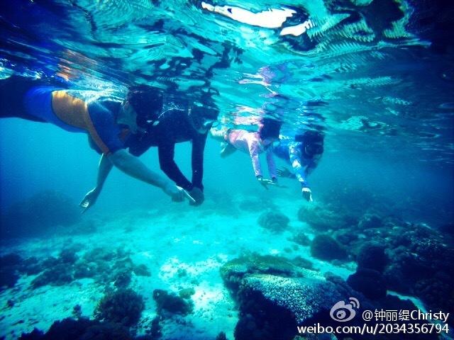 约基奇独挑大梁!34+12+9力压双探花,穆雷狂轰35分,掘金掀翻绿军主场