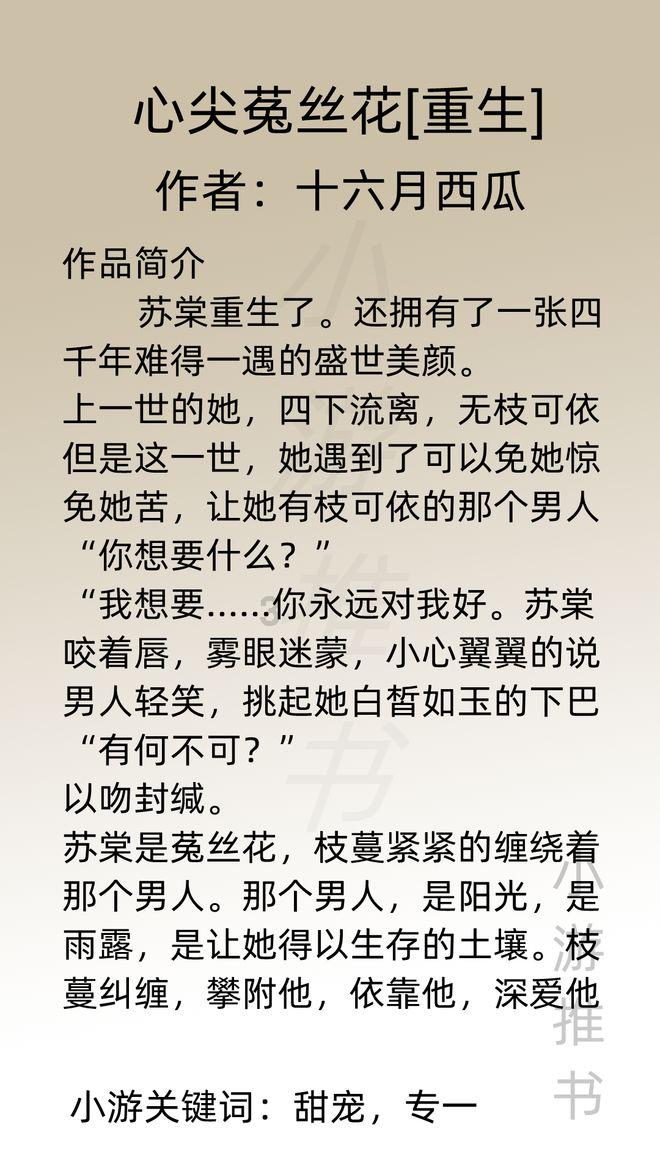 机甲英豪D