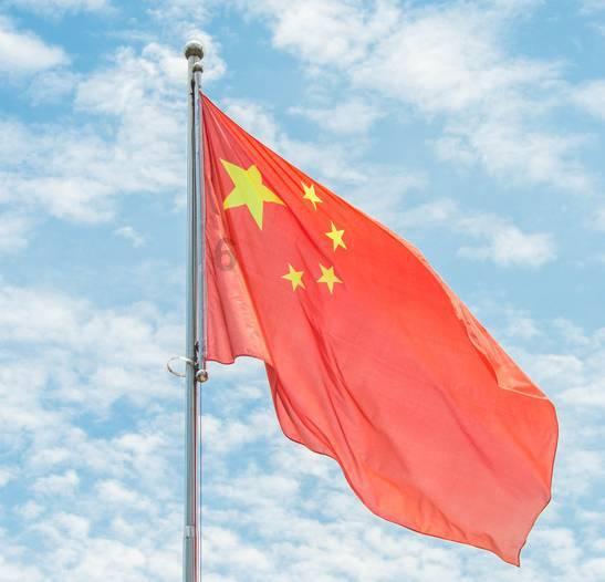 植物大战僵尸19