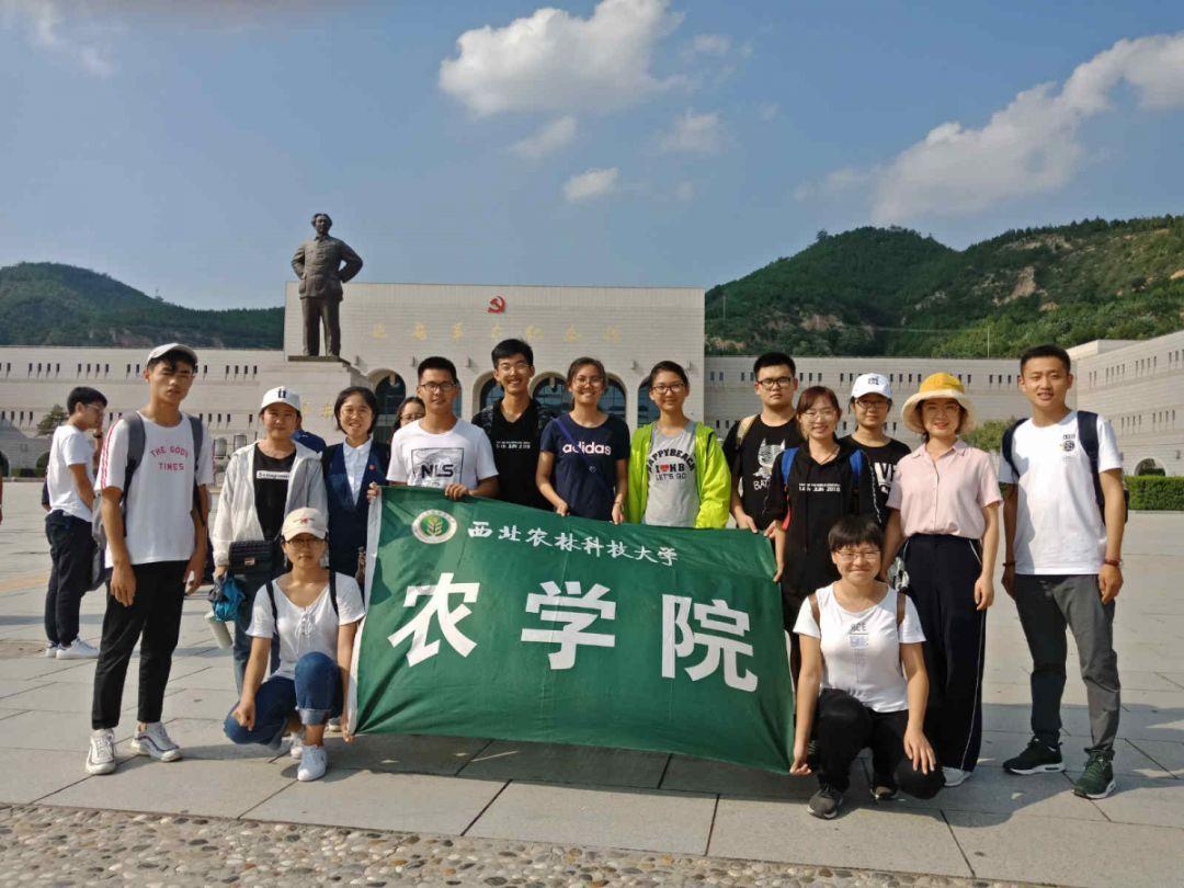 你知道吗?????游戏画面
