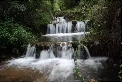 逃出猫头鹰岛