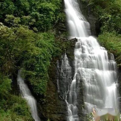 梦见羊群游戏画面