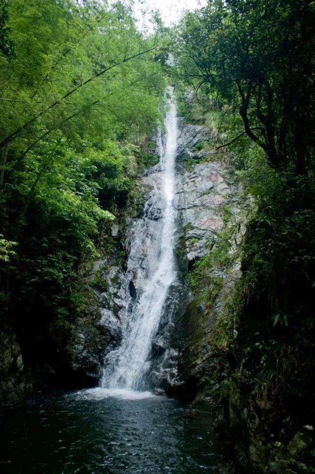 逃离绿色山谷