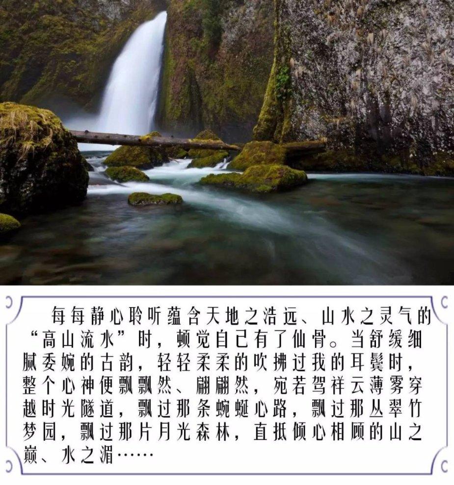 非人学园