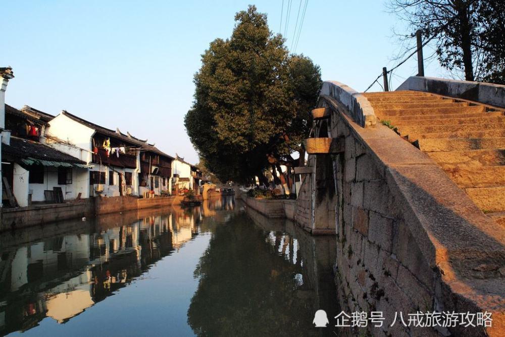 顾玥评《疼痛的故事》︱当我们宣称疼痛时，我们在宣称什么